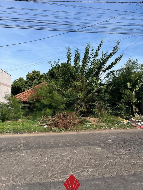 Imóvel 877